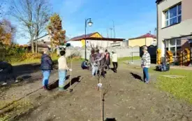 Sadzenie drzewek ozdobnych w ramach projektu projektu &bdquo;Kieszonka Zieleni &ndash; wielka sprawa w&nbsp;małej przestrzeni&rdquo;