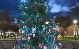 Choinka ubrana podczas IV Jarmarku Bożonarodzeniowego znajdująca się na runku w Osieku. 