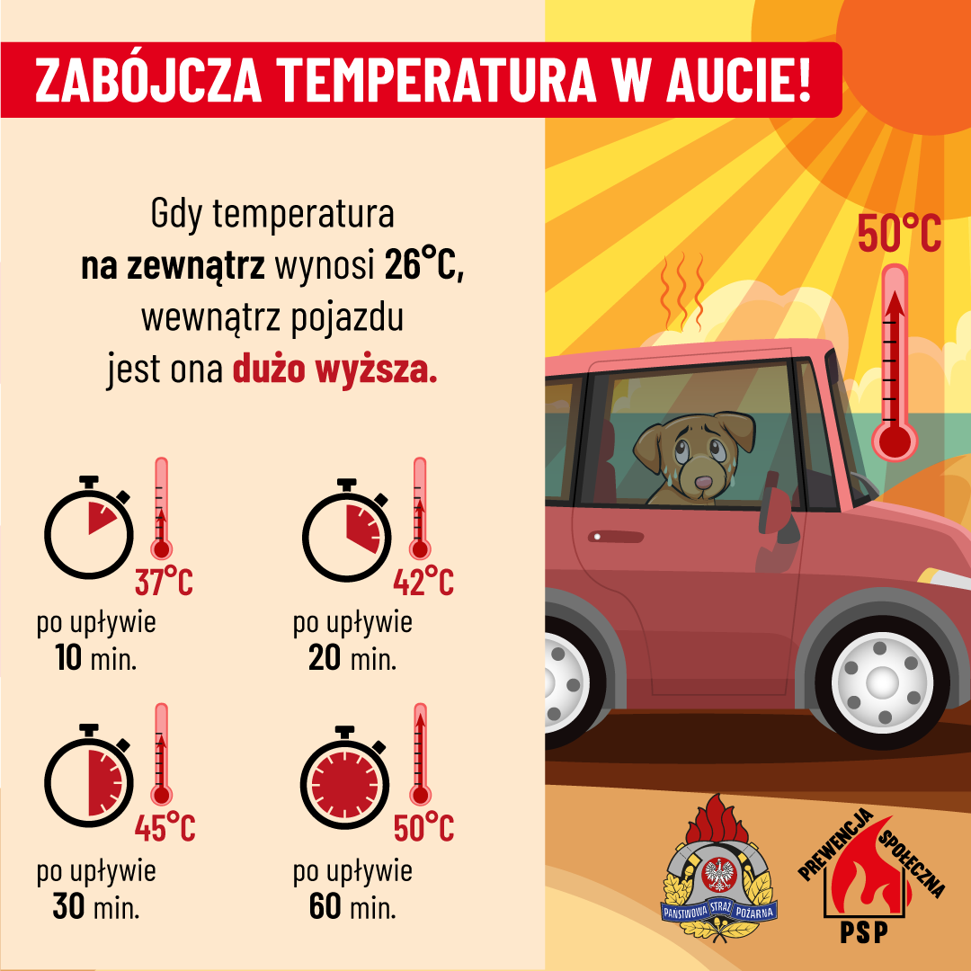 Zab&oacute;jcza temperatura w&nbsp;aucie