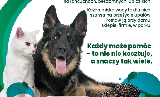 Mały gest, wielka moc – wystaw miskę!