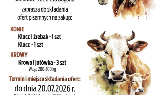 Ogłoszenie o przetargu na zakup zwierząt hodowlanych