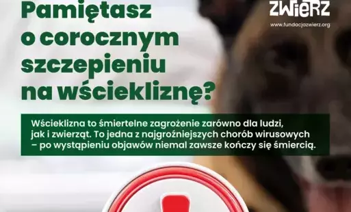 Plakat przypominający o obwiązku corocznym szczepieniu na wściekliznę 