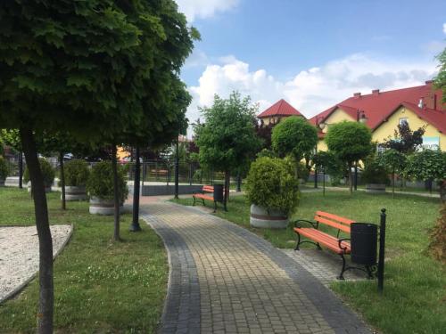 Modernizacja małej architektury w parku publicznym w Osieku